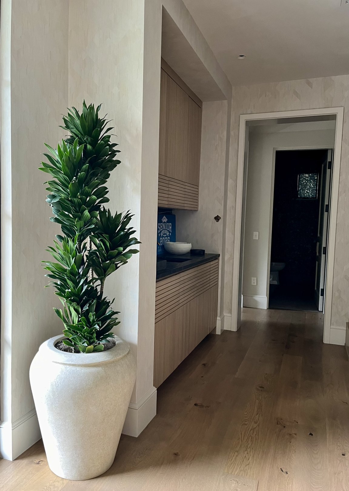 plant